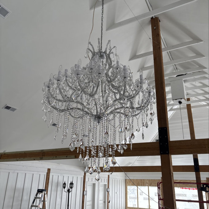 Rosdorf Park Laiya 36 - Light Dimmable Chandelier & Reviews | Wayfair